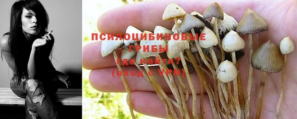 тгк Семёнов